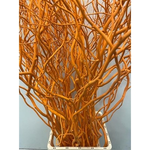 Salix 130cm Orange