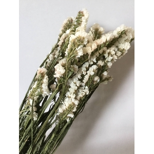 DRIED FLOWERS - STATICE WHITE 5pcs