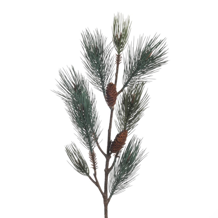<h4>Af Pinus+cones Spr 122cm Green</h4>