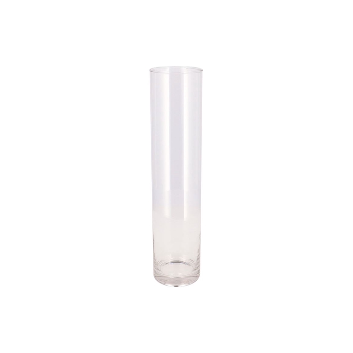 <h4>Glas Cilinder Silo 9x40cm</h4>