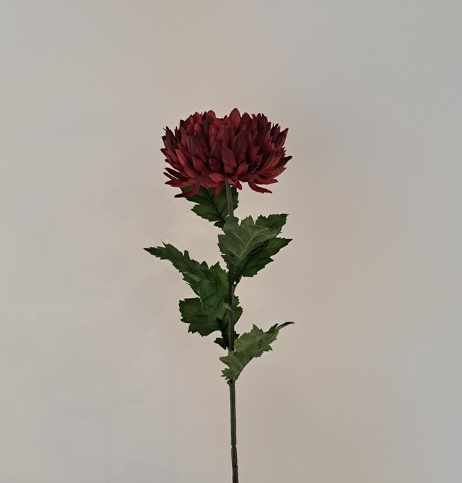 <h4>Af chrysanthemum l75cm red</h4>