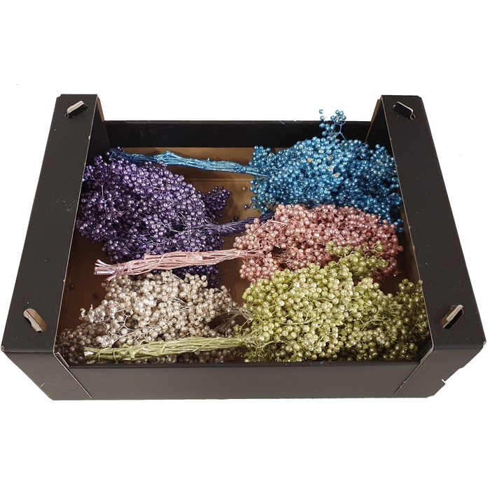 <h4>Pepperberries per bunch in poly Mixed colours Pearl</h4>