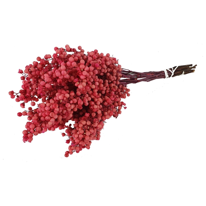 <h4>Pepperberries per bunch in poly Pink</h4>