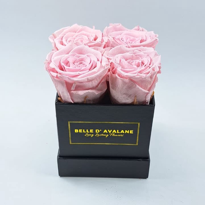 Box vk 10cm zwart-roze