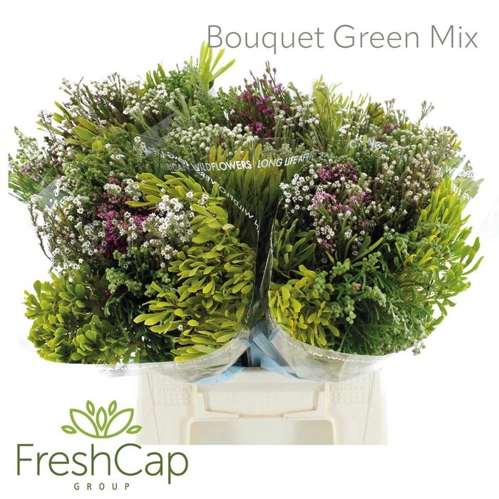 <h4>Bouquet Green Mix</h4>