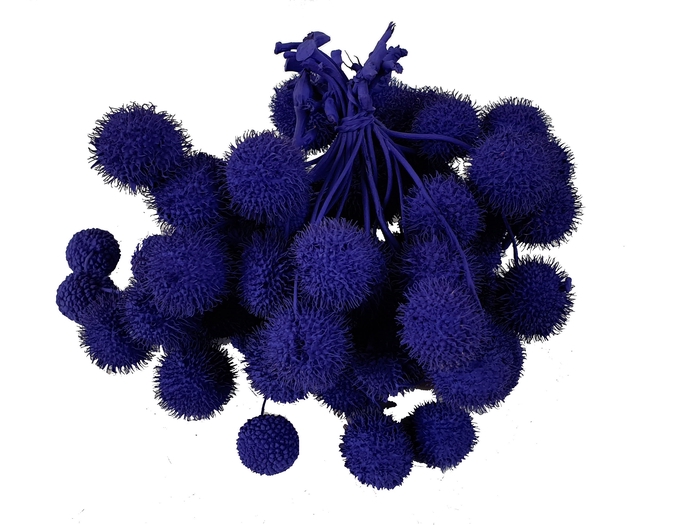 Small ball per bunch in poly purple