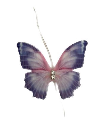Garl. Butterfly L200W5D5