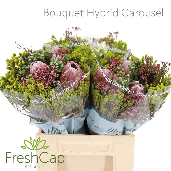 <h4>Bouquet Hybrid Carousel</h4>