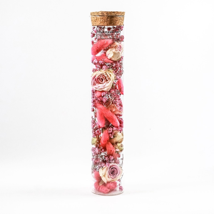 Tube d5x25h dried flowers