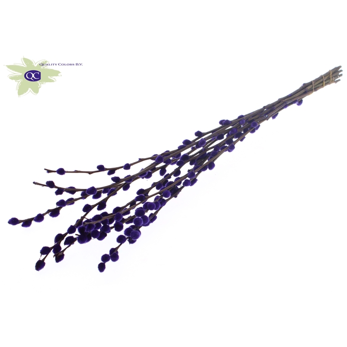 <h4>Pussy Willow 80cm Purple</h4>