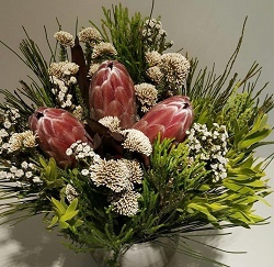 Protea 3 Flower Bouquet (Pink Ice)