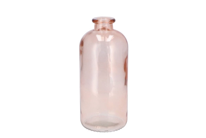 <h4>Dry Glass Peach Bottle 11x25cm Nm</h4>