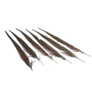 Feather Pheasant 40-45cm