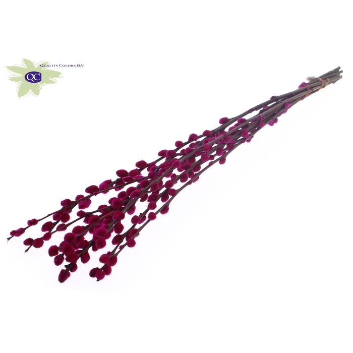 <h4>Pussy Willow 60cm Lilac</h4>