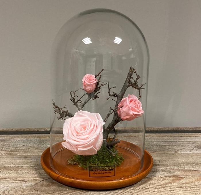 Stolp bruin 24h roze rozen glas