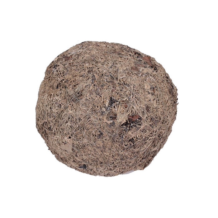<h4>Grey mos ball 20cm Natural</h4>