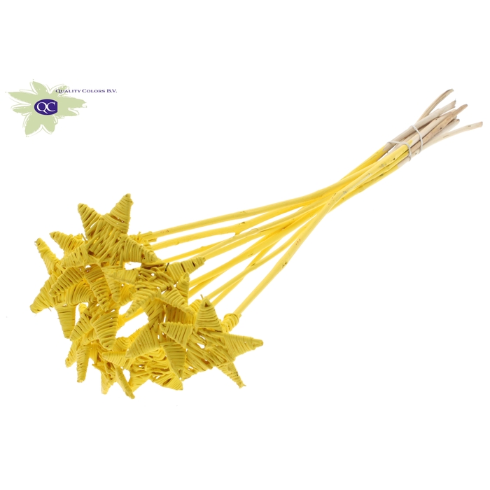 <h4>Lata Star on stem Covered Yellow</h4>