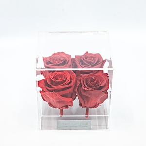 Plexi 12.5cm rode rozen