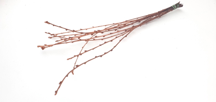 Avium branches lgt 40cm 10 stems per bunch Copper
