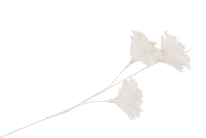 <h4>Silk Feather Flower White 3 Op Steel 80cm Nm</h4>