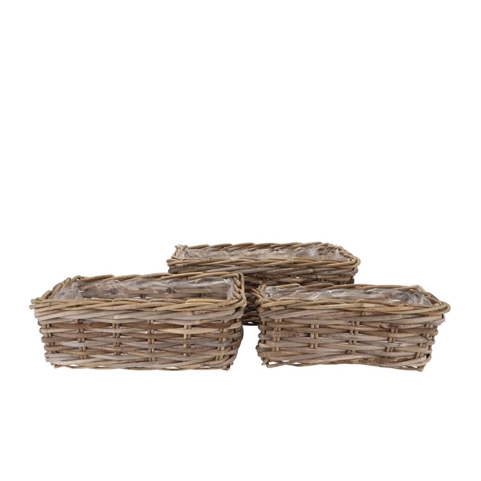 <h4>Rattan Ivy Basket Rectangle S/3 L34/37/41 W18/22/26</h4>