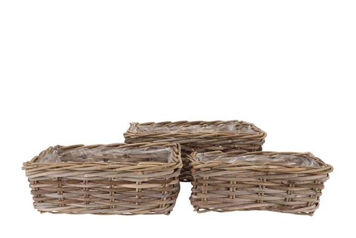<h4>Rattan Ivy Basket Rectangle S/3 L34/37/41 W18/22/26</h4>