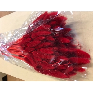 DRIED FLOWERS - LAGURUS RED 90GR