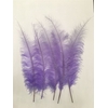 Basic Ostrich Feathers 55cm 5 Pcs Lilac