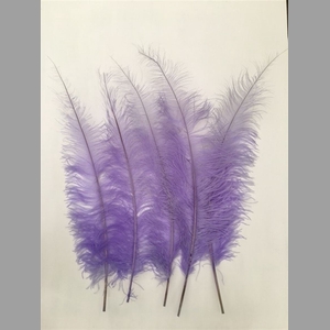 Basic Ostrich Feathers 55cm 5 Pcs Lilac