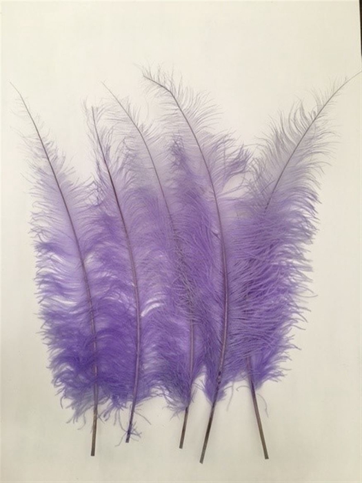 <h4>Feathers Ostrich 5 Pcs Lilac</h4>