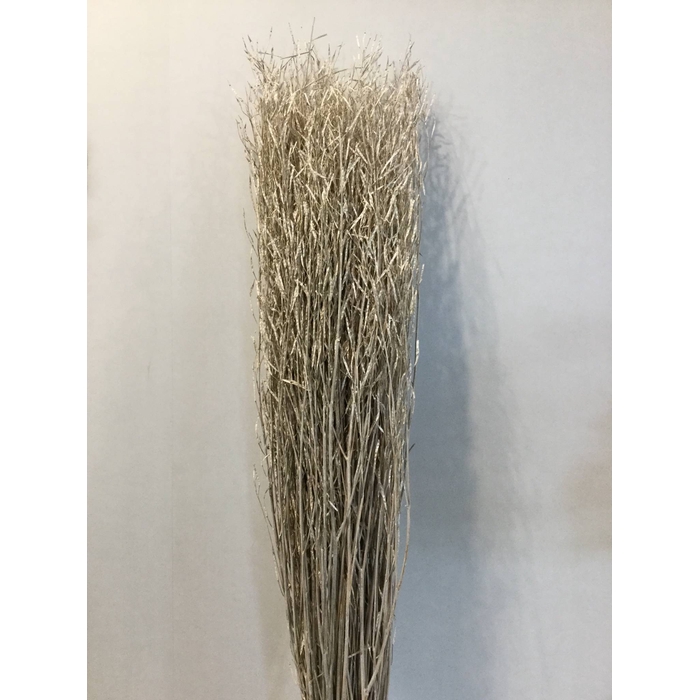 <h4>SARASH BUNCH 110CM FROSTED WHITE 250GR</h4>