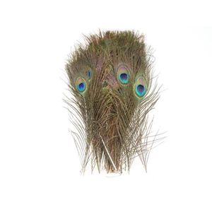 Feather Peacock 30cm