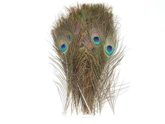 <h4>Feather Peacock 30cm</h4>