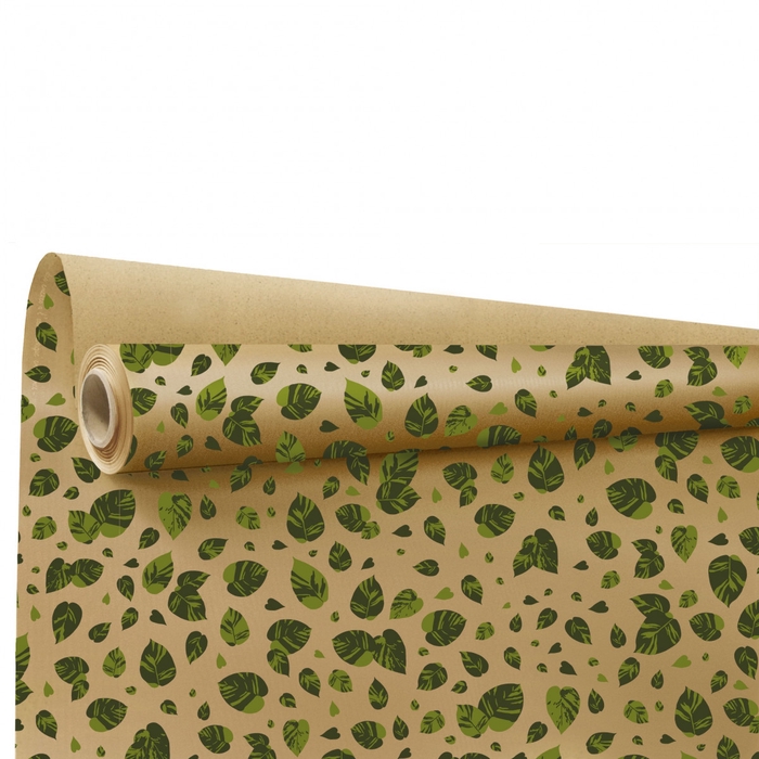 <h4>Paper Roll 80cm 25m Eco Lina</h4>