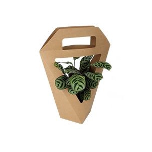 Bouquetholder Carton 11*11*34cm