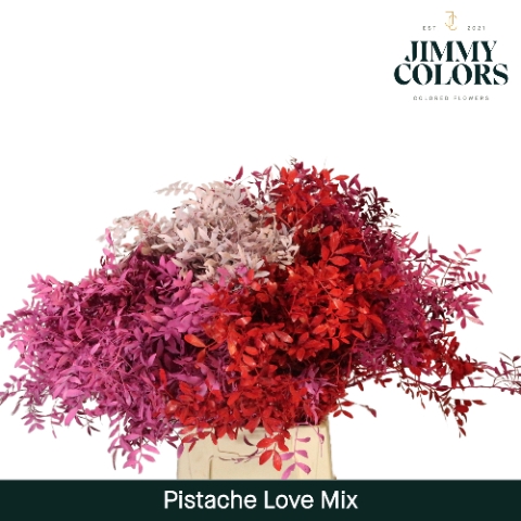 <h4>Pistache L50 Love mix</h4>
