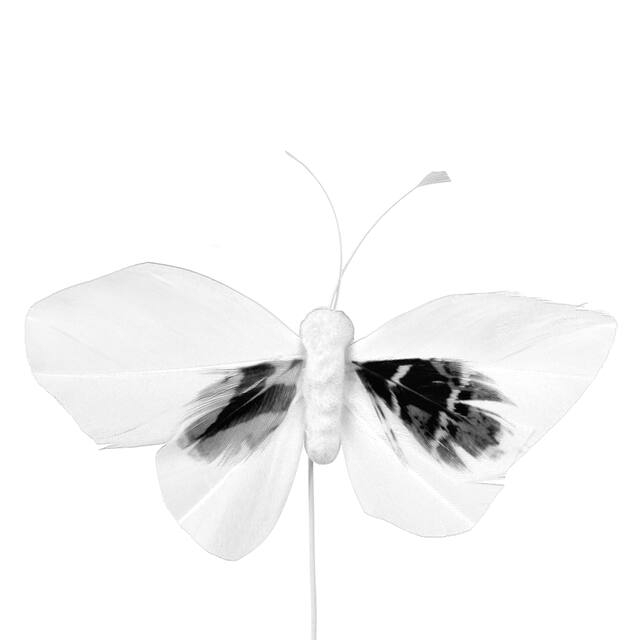 <h4>Pick Butterfly 6x10cm+12cm wire 48pcs white</h4>
