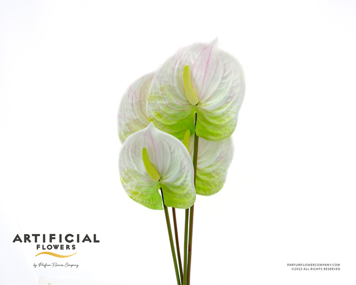 Artificial Soft Touch Anthurium White