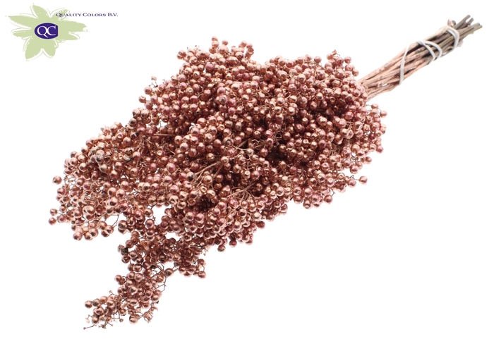Pepperberries per bunch in poly Copper