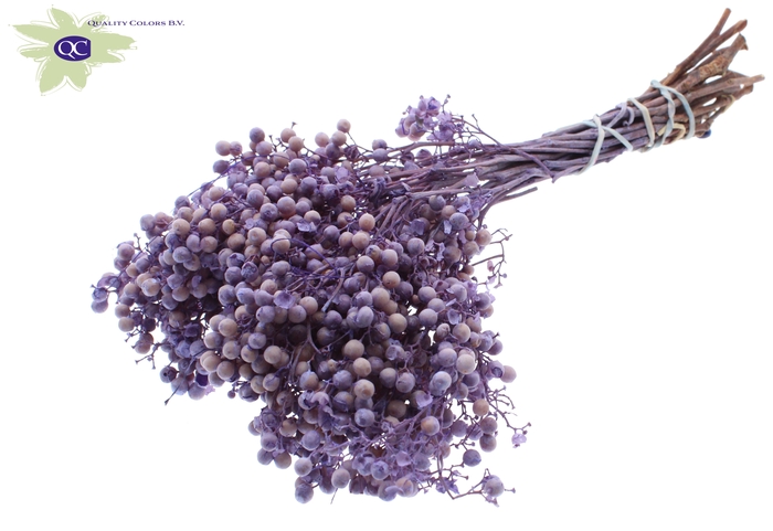 <h4>Pepperberries per bunch in poly frosted milka</h4>