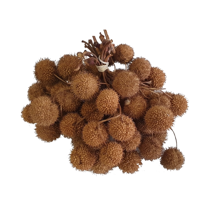 <h4>Small ball per bunch in poly Natural</h4>