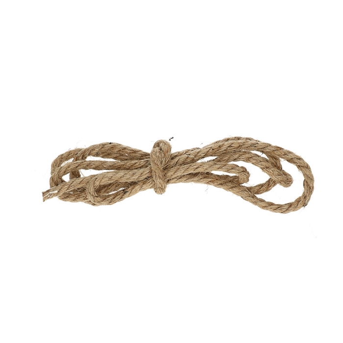 <h4>Wire Rope 10mm 2m</h4>