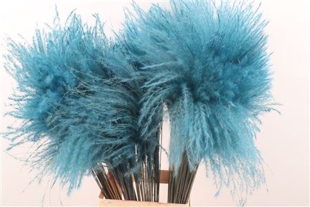 <h4>ZD STIPA FEATHER LBLUE</h4>
