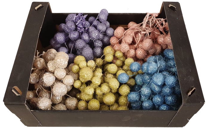 Small ball per bunch in poly Mixed colours Pearl